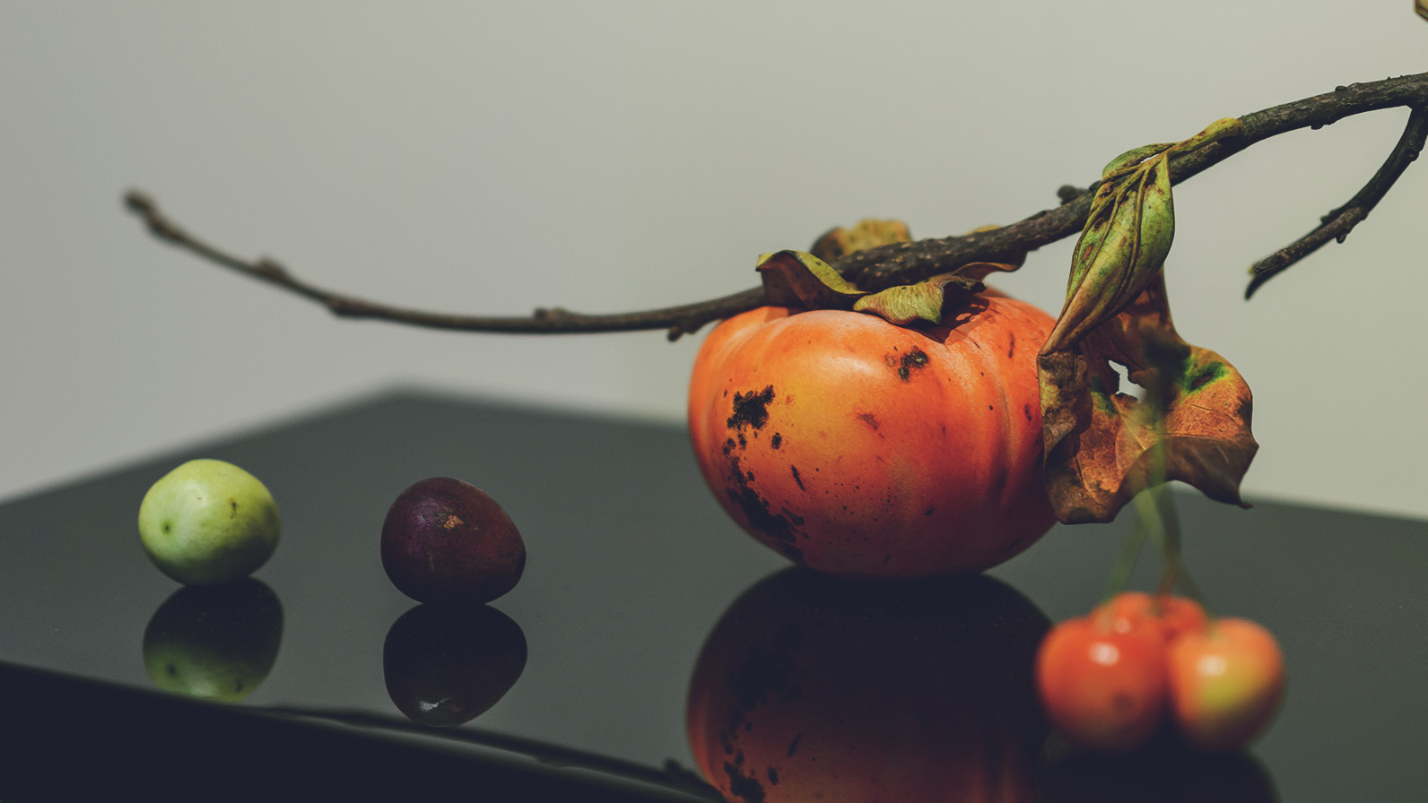 富永朝堂 木彫 干魚 見事な目刺鰯です！ 富永朝堂 木彫