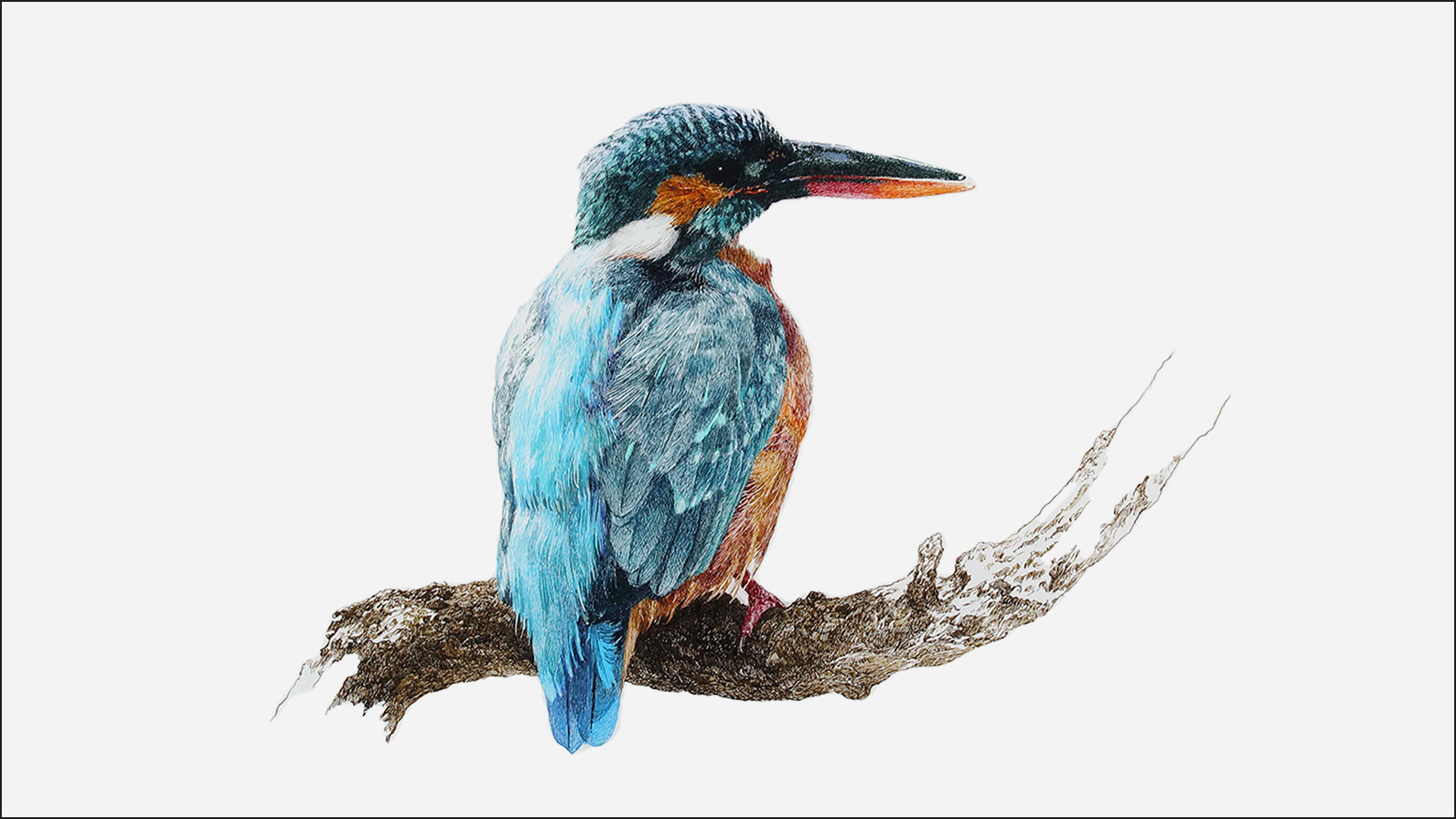 かんさつ視点 池田学とどうぶつたち」 動物画シリーズ51作品を一挙公開